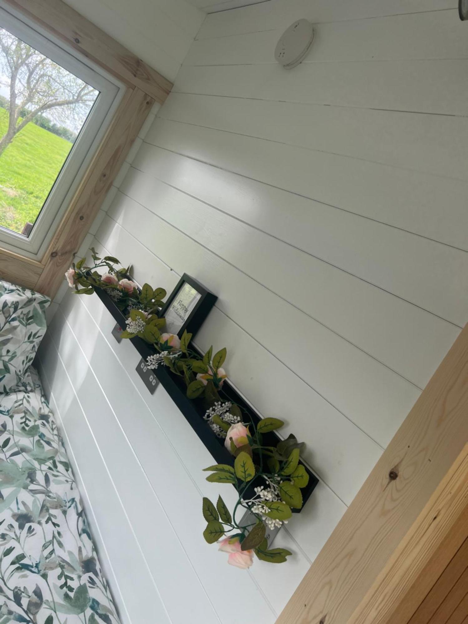 Bradmore  Little Bunny Retreat酒店 外观 照片